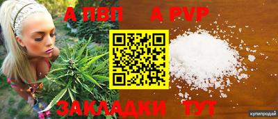 сатива Краснодар