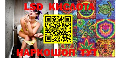 сатива Краснодар