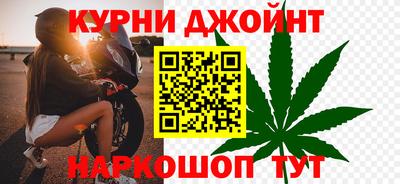 сатива Краснодар