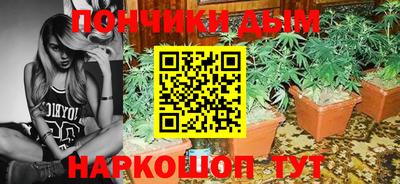 сатива Краснодар