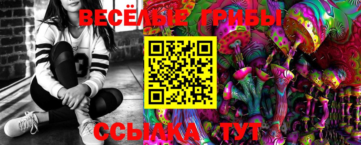 Галлюциногенные грибы мицелий Котельники